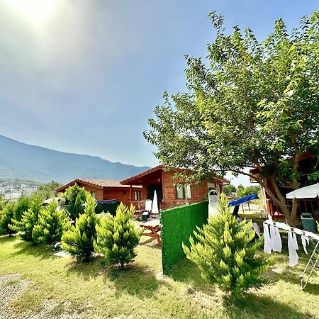 Hurmalik Apart Evleri-Very Close To The Sea Large Garden Bungalow With Barbecue And Swing Karaoz エクステリア 写真