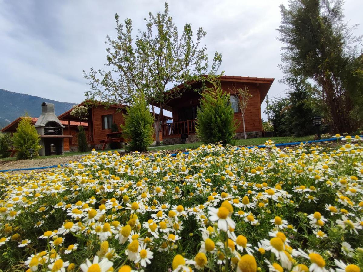 Hurmalik Apart Evleri-Very Close To The Sea Large Garden Bungalow With Barbecue And Swing Karaoz エクステリア 写真